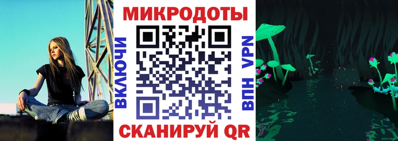 Купить закладки  Верхний Уфалей  Галлюциногенные грибы Psilocybe 